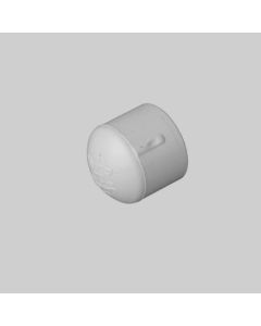 99002 - PVC CAP THREADED 3/4 (9549)