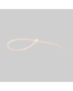 6261CX - NYLON CABLE TIES 6" 100/PK (9004)